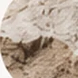 Close-up of weathered sandstone